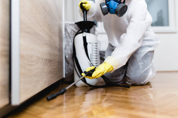 Best Pest Removal Services  in Salix, PA