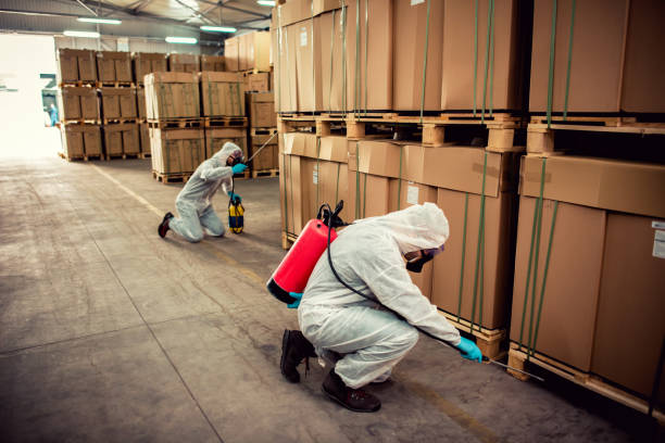 Best Emergency Pest Control  in Salix, PA