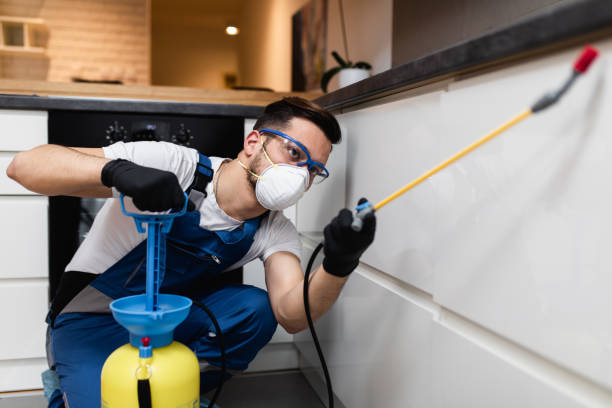 Best Termite Control Services  in Salix, PA