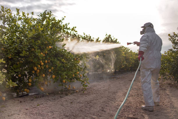 Best Mosquito Control Services  in Salix, PA