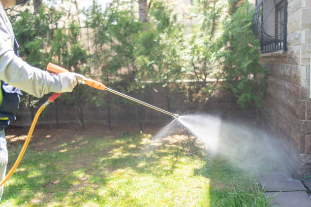 Best Rat Extermination Near Me  in Salix, PA