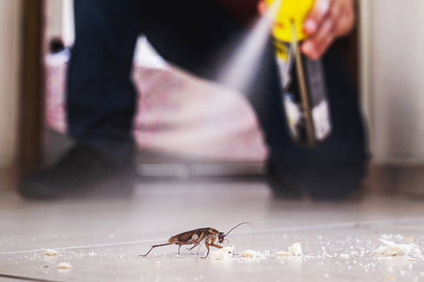 Best Exterminator Services  in Salix, PA
