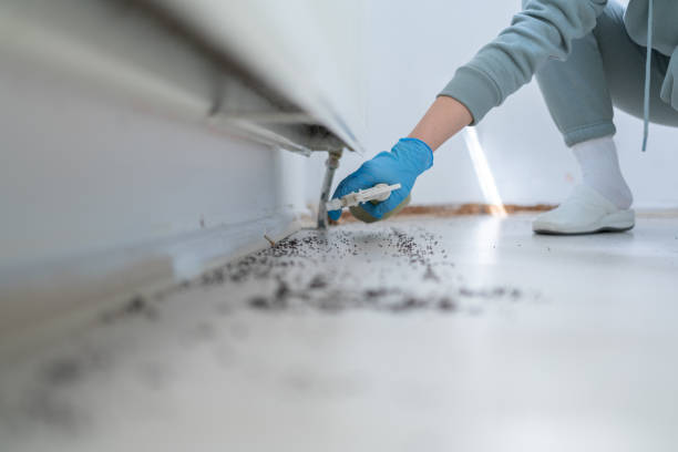 Trusted Salix, PA Pest Control Experts